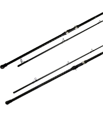 Amazon.com : Daiwa Prime SURF T #33-405-W : Sports & Outdoors